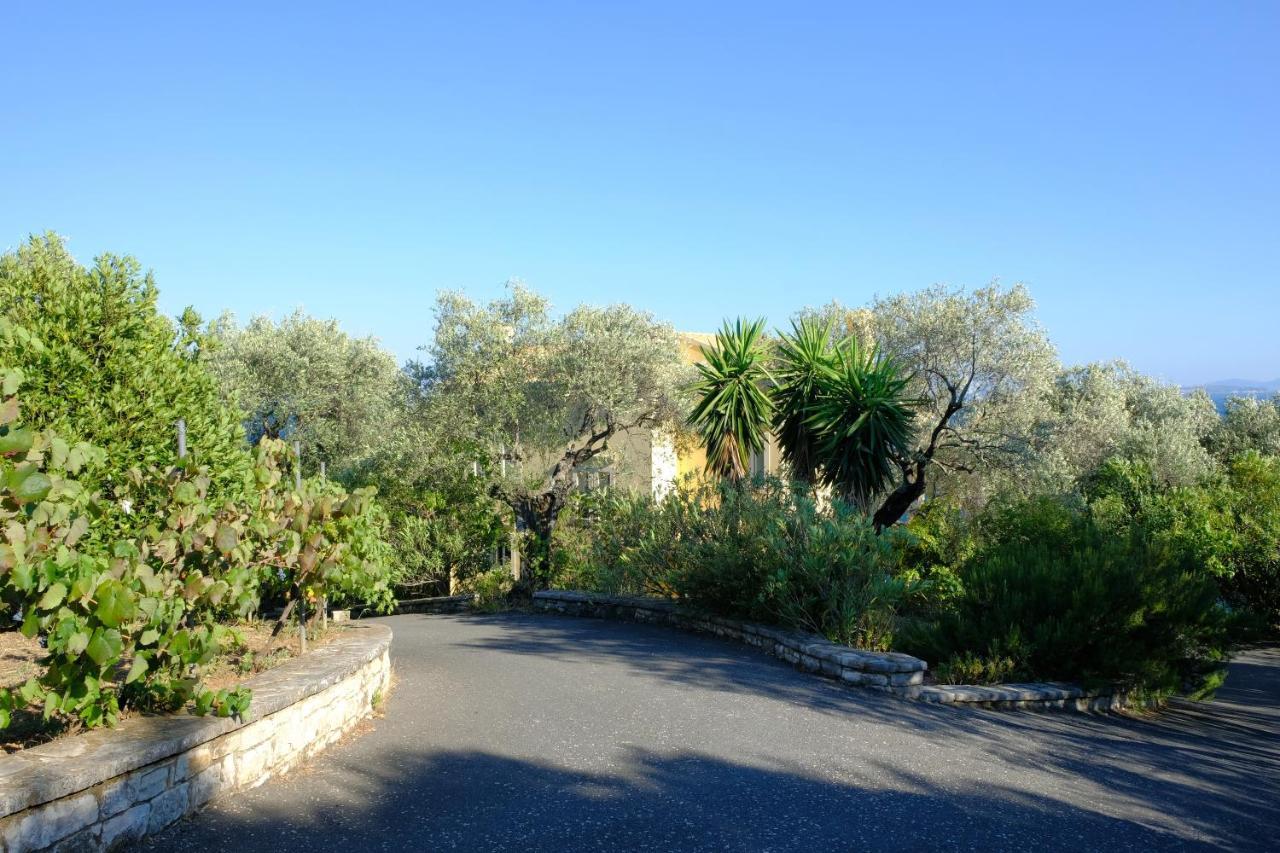 Villa Spyros Niszáki Kültér fotó